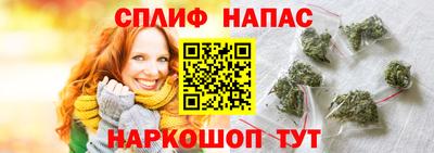гашик Дубна