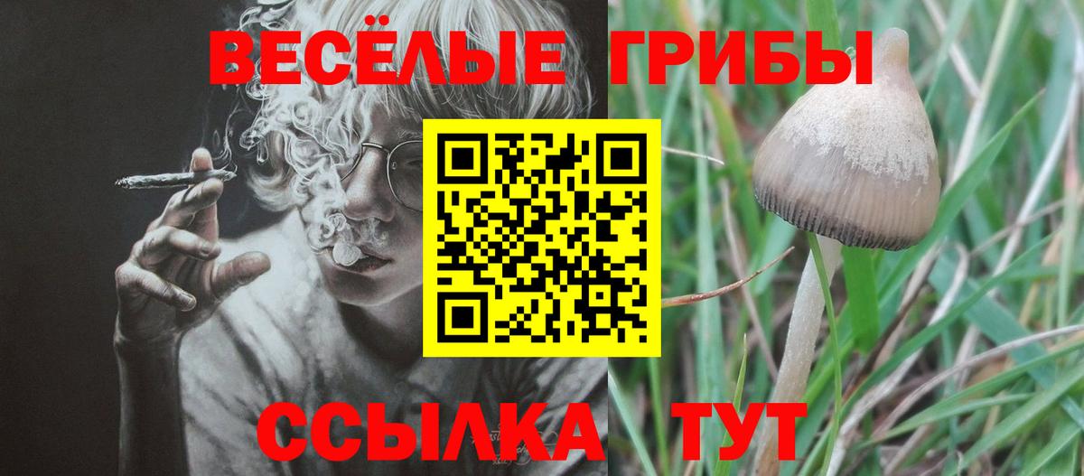Псилоцибиновые грибы Psilocybine cubensis Лянтор