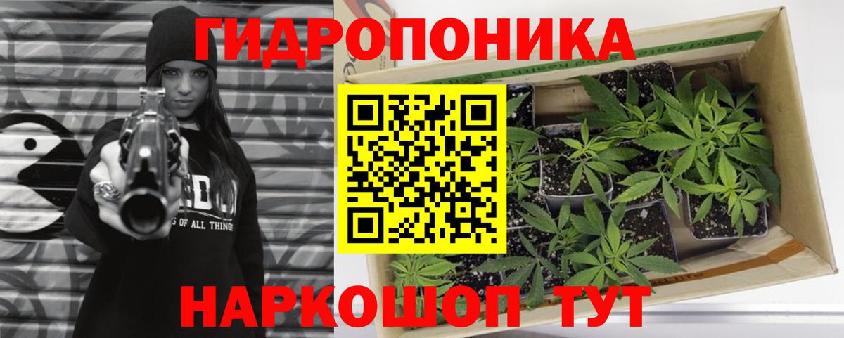 Каннабис план Лянтор